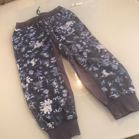 Anthropology The Nomad jogger - size XS - Picture 3 of 13